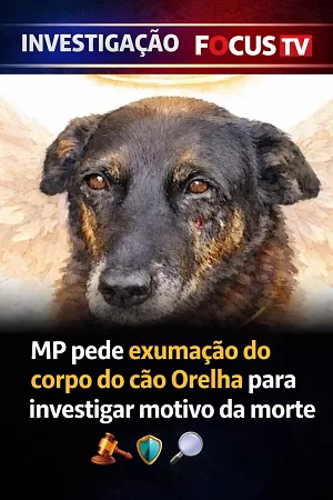 ChatGPT Image 10_02_2026, 20_15_05